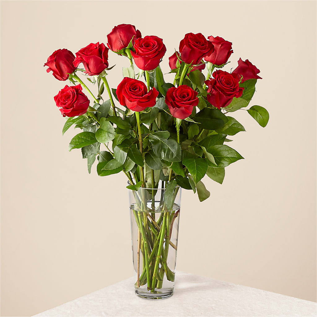 Long Stem Red Rose Bouquet – Mattoon Flower Shop Inc, Mattoon IL