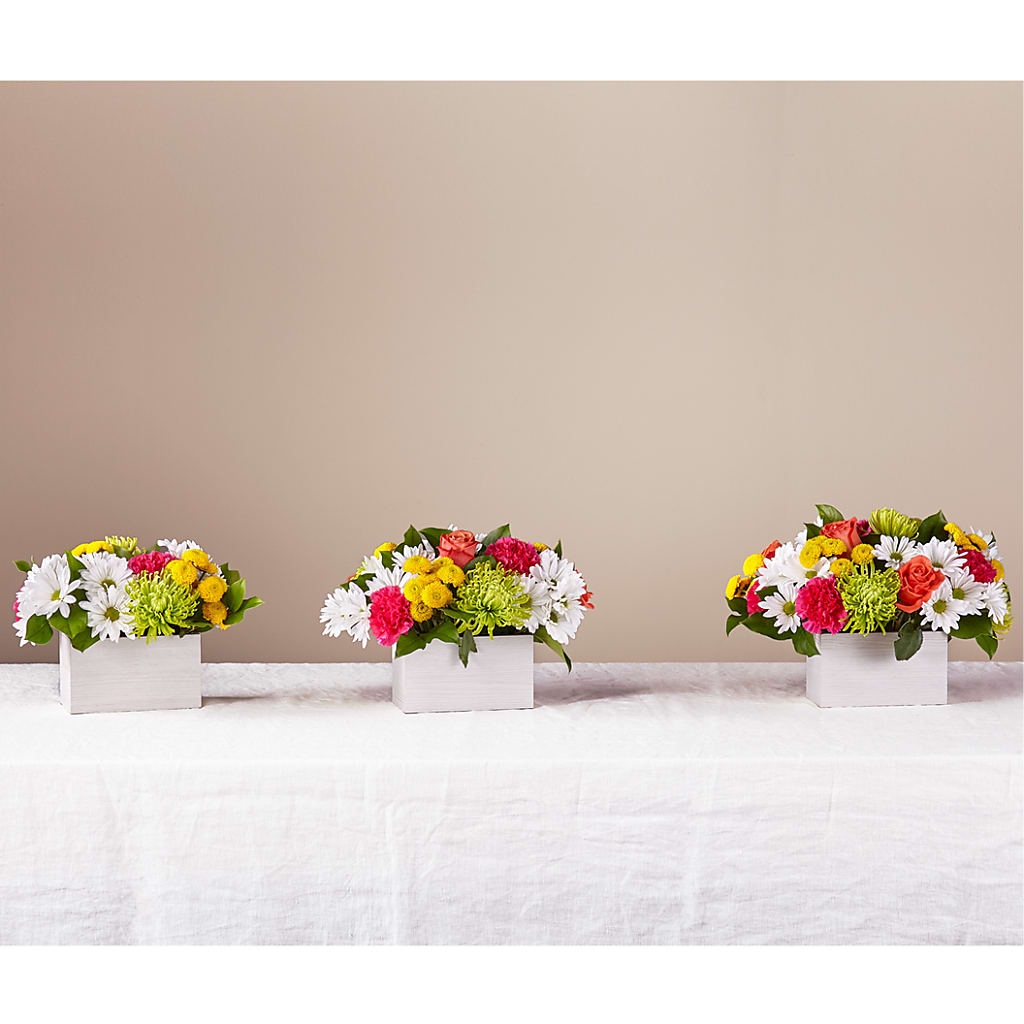 Sorbet Bouquet – Mattoon Flower Shop Inc, Mattoon IL