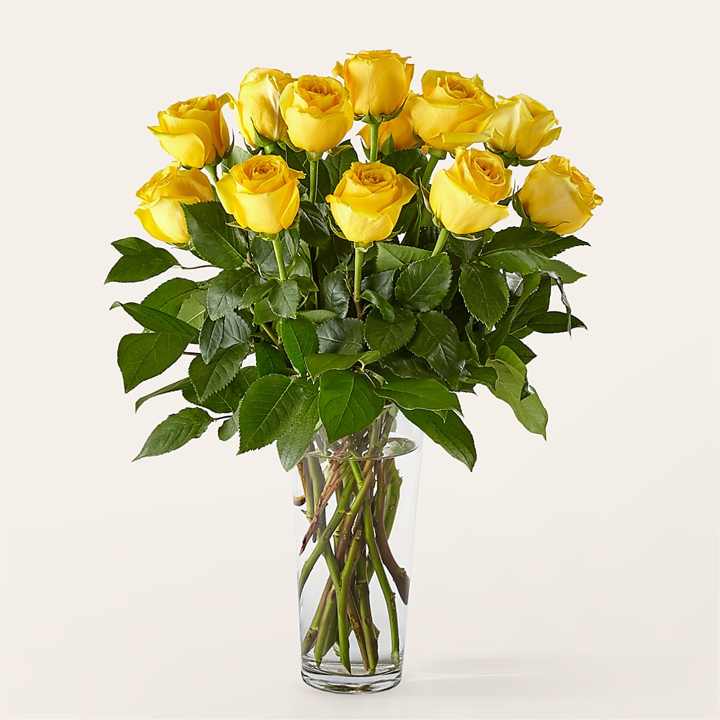 Long Stem Yellow Rose Bouquet – Mattoon Flower Shop Inc, Mattoon IL
