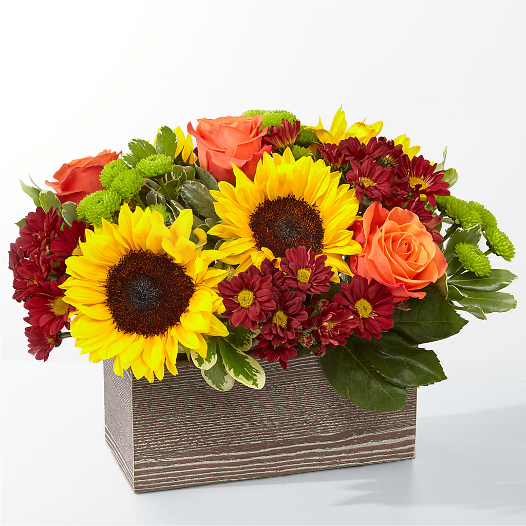Happy Harvest Garden – Mattoon Flower Shop Inc, Mattoon IL