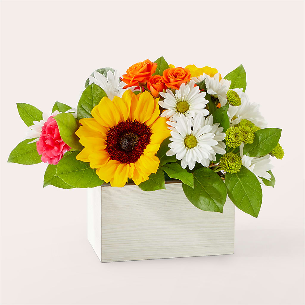 Sun-drenched Blooms Box Bouquet – Mattoon Flower Shop Inc, Mattoon IL
