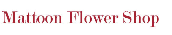 Mattoon Flower Shop Inc