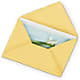Greeting Card – Mattoon Flower Shop Inc, Mattoon IL