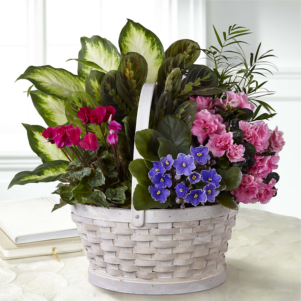 Peaceful Garden Planter – Mattoon Flower Shop Inc, Mattoon IL