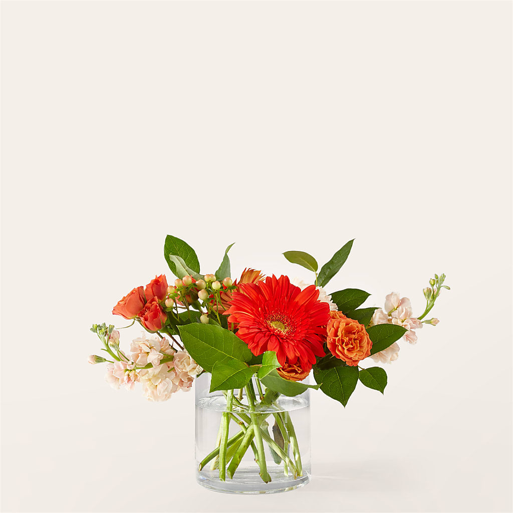 Paloma Please Bouquet – Mattoon Flower Shop Inc, Mattoon IL