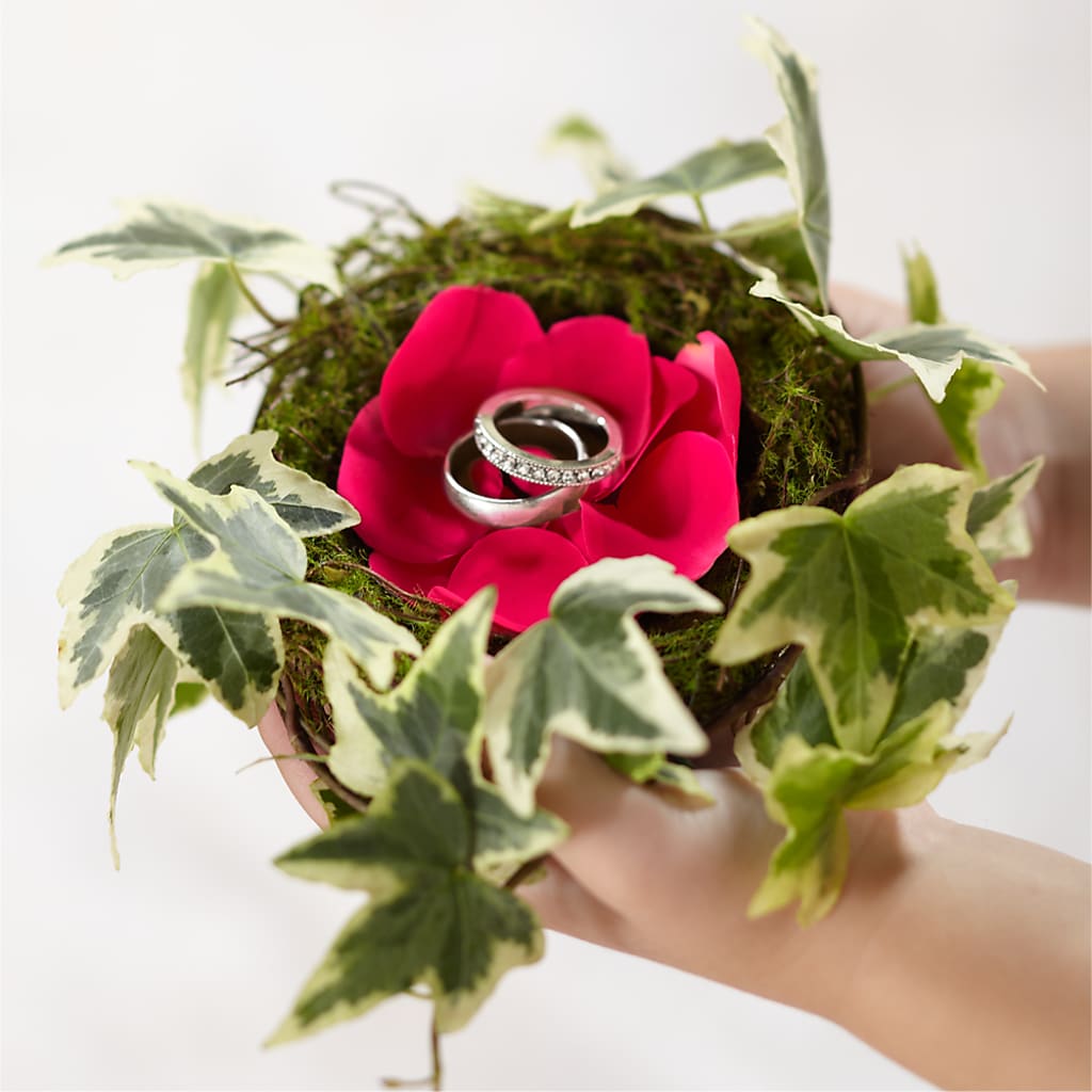 Lila Rose Ring Nest – Mattoon Flower Shop Inc, Mattoon IL