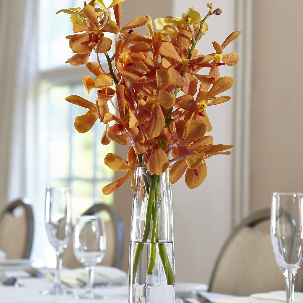 Orange Mokara Bud Vase – Mattoon Flower Shop Inc, Mattoon IL