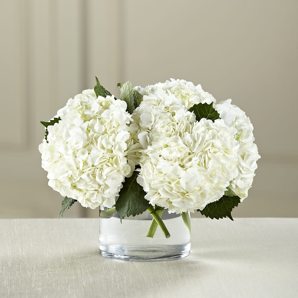 White Hydrangea Bouquet – Mattoon Flower Shop Inc, Mattoon IL