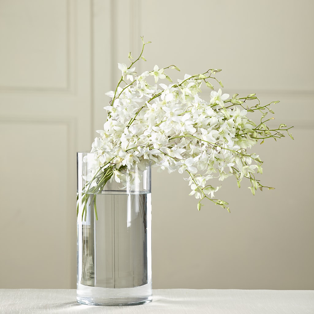White Dendrobium Bouquet – Mattoon Flower Shop Inc, Mattoon IL