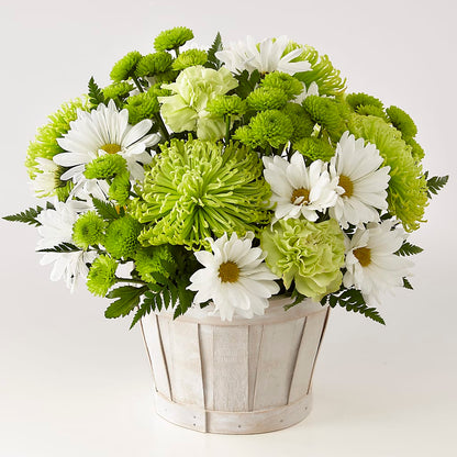 Lucky Charm Basket (Standard) –  Mattoon Flower Shop Inc, Mattoon IL