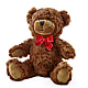Adorable Plush Bear –  Mattoon Flower Shop Inc, Mattoon IL