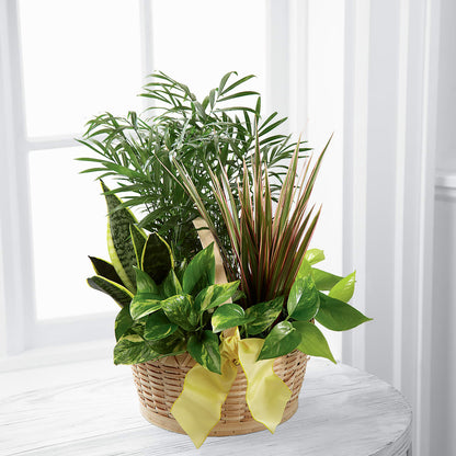 French Garden –  Mattoon Flower Shop Inc, Mattoon IL