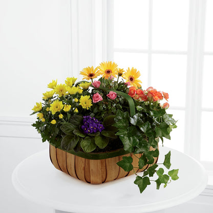 Gentle Blossoms Basket –  Mattoon Flower Shop Inc, Mattoon IL