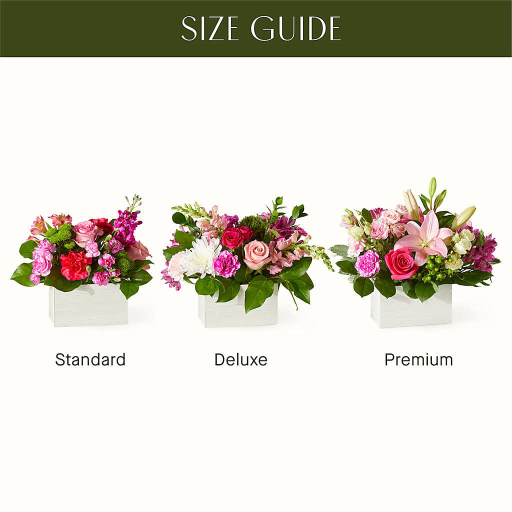 Sweetberry Box – A Florist Original –  Mattoon Flower Shop Inc, Mattoon IL