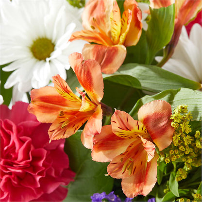 Oopsie Daisy Box Bouquet –  Mattoon Flower Shop Inc, Mattoon IL