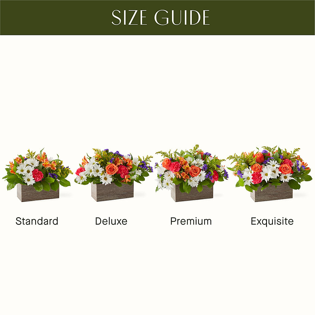 Oopsie Daisy Box Bouquet –  Mattoon Flower Shop Inc, Mattoon IL