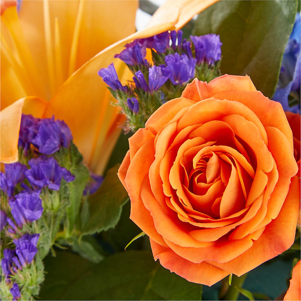 Radiant Citrus Box Bouquet –  Mattoon Flower Shop Inc, Mattoon IL