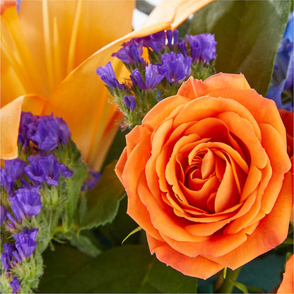 Radiant Citrus Box Bouquet –  Mattoon Flower Shop Inc, Mattoon IL
