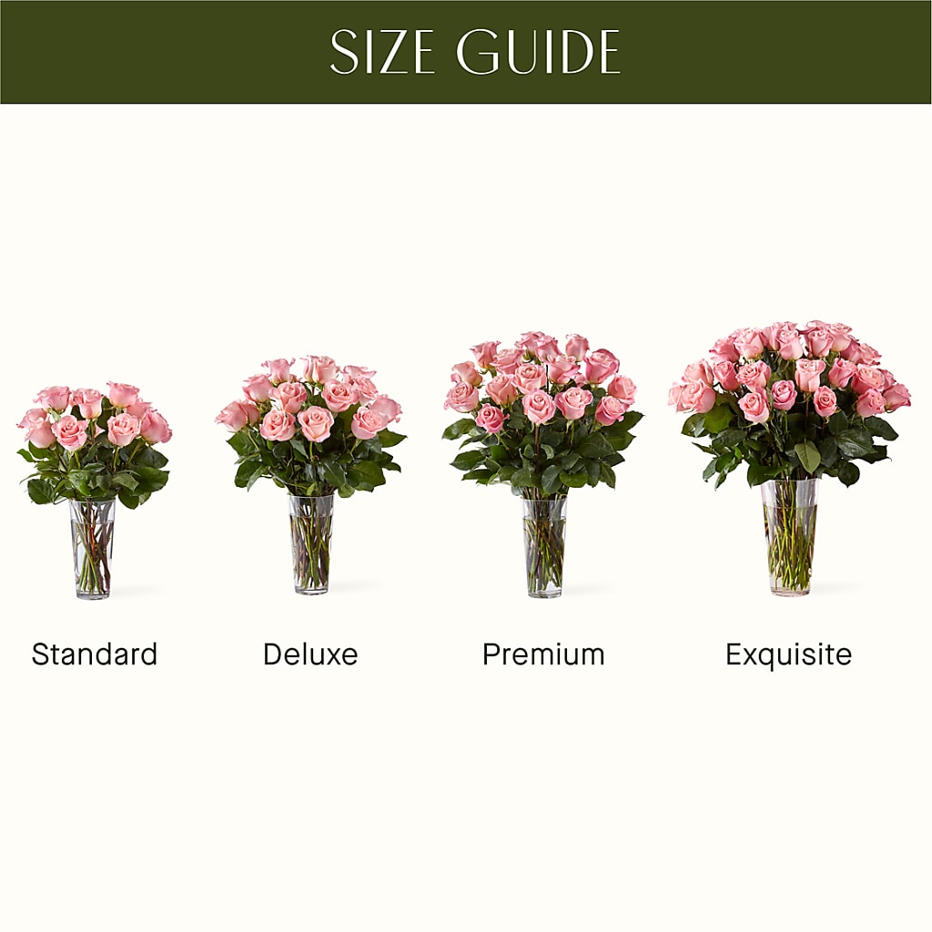 Long Stem Pink Rose Bouquet –  Mattoon Flower Shop Inc, Mattoon IL
