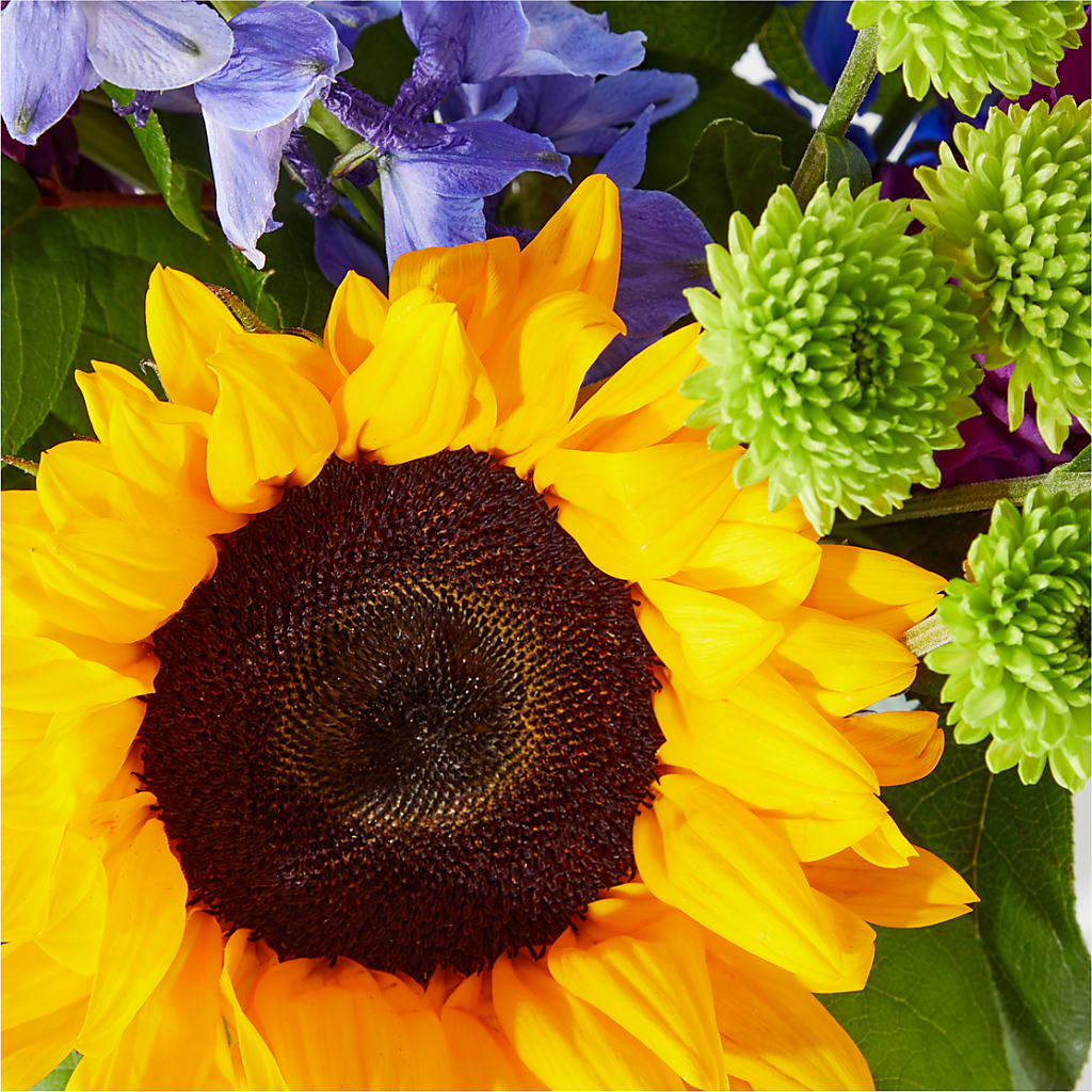 Catching Rays Bouquet –  Mattoon Flower Shop Inc, Mattoon IL