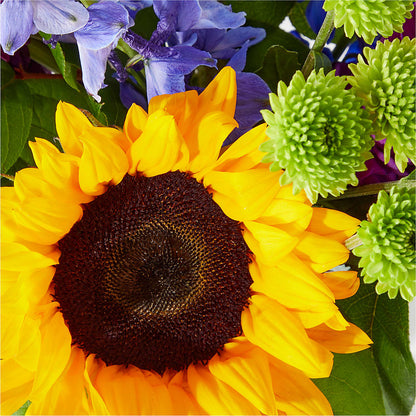 Catching Rays Bouquet –  Mattoon Flower Shop Inc, Mattoon IL