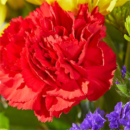 Brighter Days Bouquet –  Mattoon Flower Shop Inc, Mattoon IL
