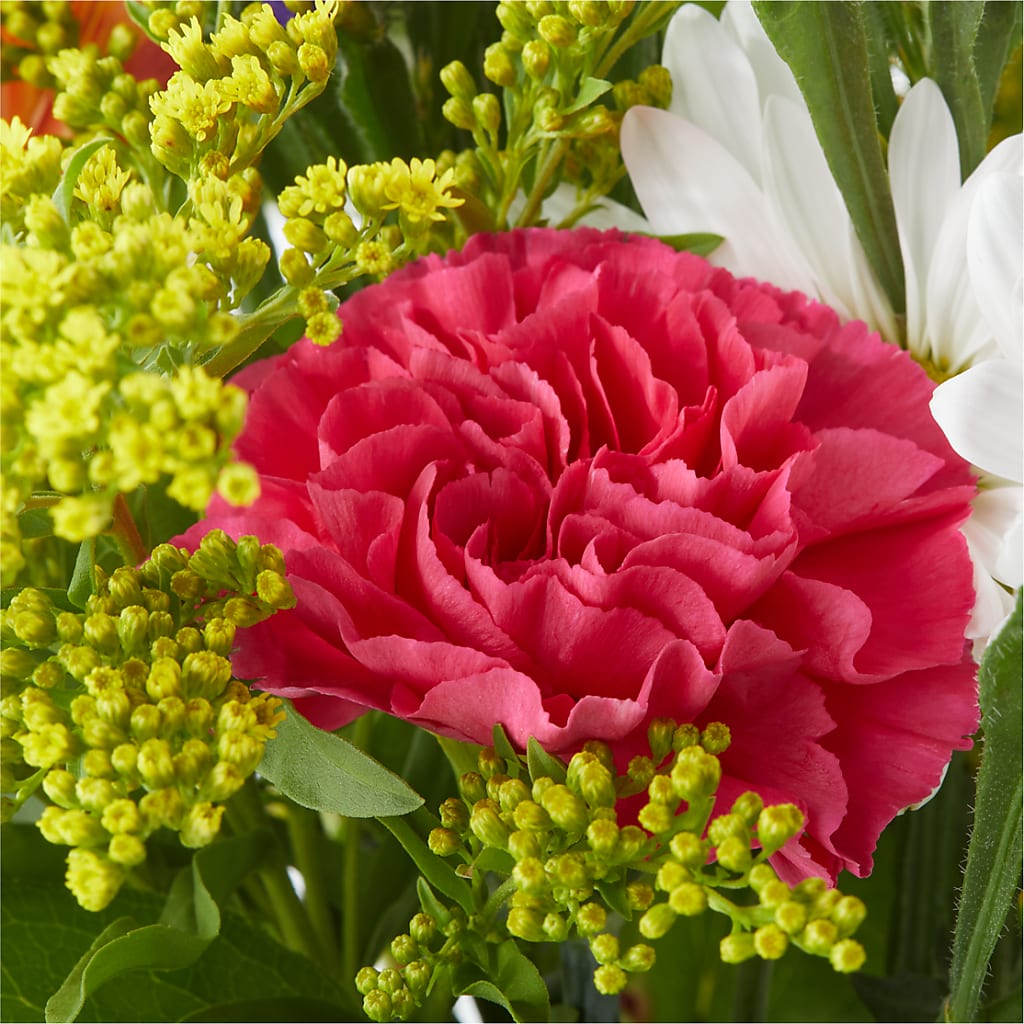 Oopsie Daisy Bouquet –  Mattoon Flower Shop Inc, Mattoon IL