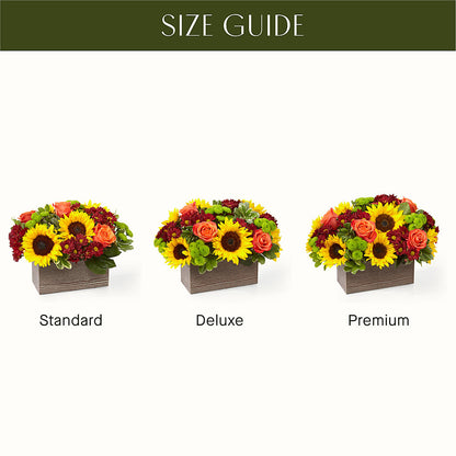 Happy Harvest Garden –  Mattoon Flower Shop Inc, Mattoon IL
