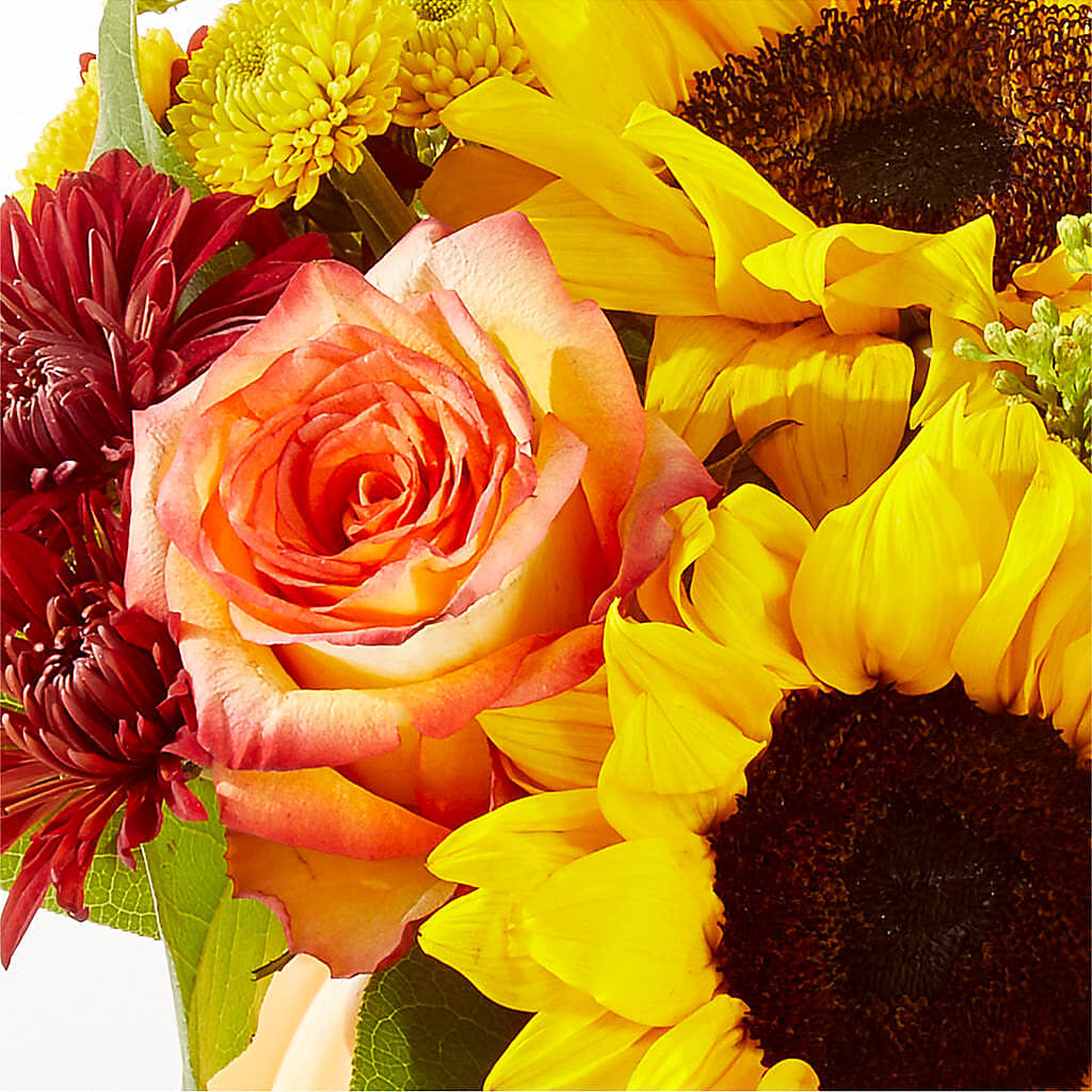 Golden Gourd Pumpkin Bouquet –  Mattoon Flower Shop Inc, Mattoon IL