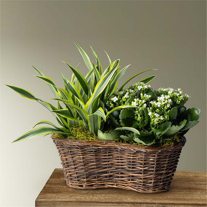 Blooming Garden –  Mattoon Flower Shop Inc, Mattoon IL