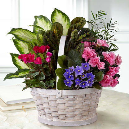 Peaceful Garden Planter –  Mattoon Flower Shop Inc, Mattoon IL