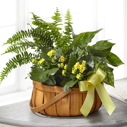 Always Dear Dishgarden –  Mattoon Flower Shop Inc, Mattoon IL
