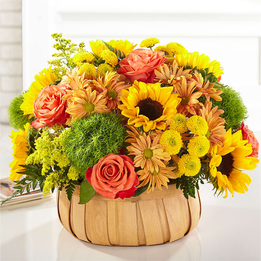Harvest Sunflower Basket –  Mattoon Flower Shop Inc, Mattoon IL
