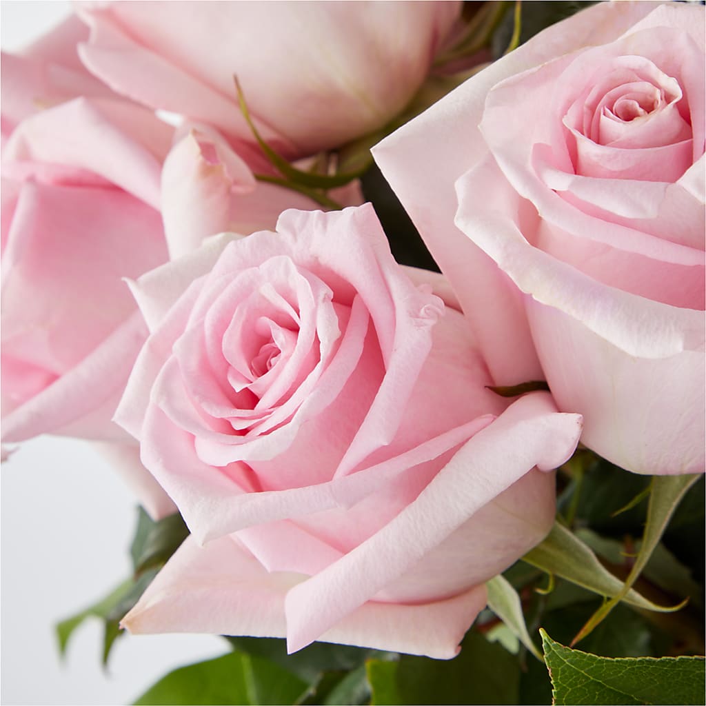 Picture Perfect Pink Rose Bouquet –  Mattoon Flower Shop Inc, Mattoon IL