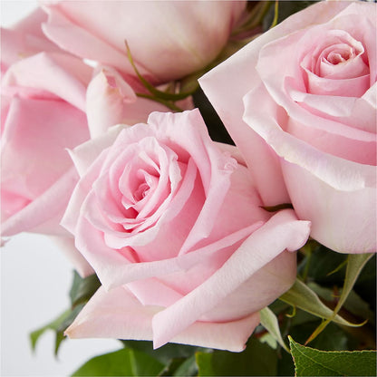 Picture Perfect Pink Rose Bouquet –  Mattoon Flower Shop Inc, Mattoon IL