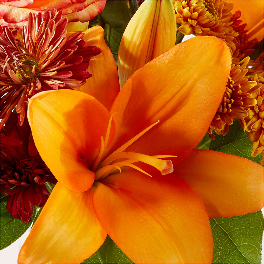 Autumnal Aroma Bouquet –  Mattoon Flower Shop Inc, Mattoon IL