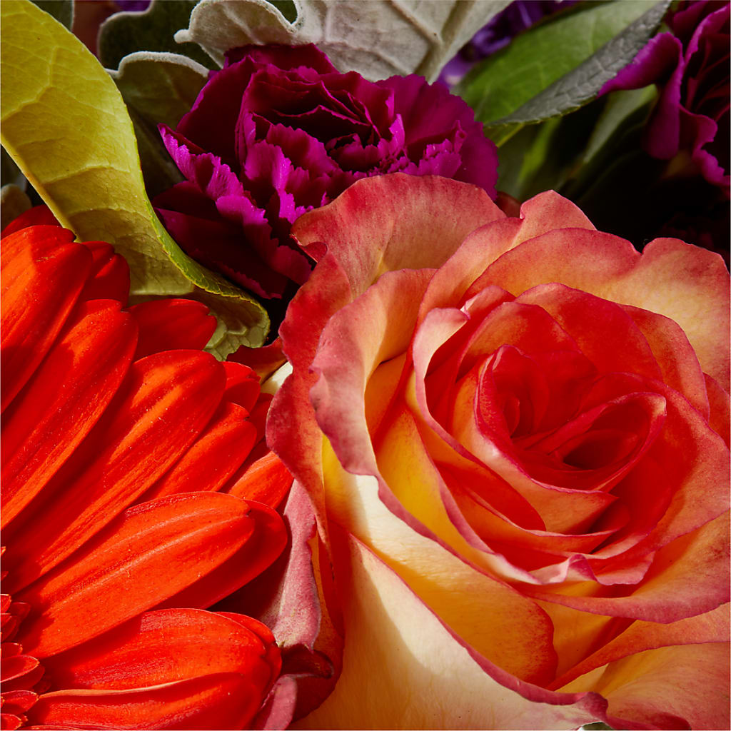 Sangria Bouquet –  Mattoon Flower Shop Inc, Mattoon IL