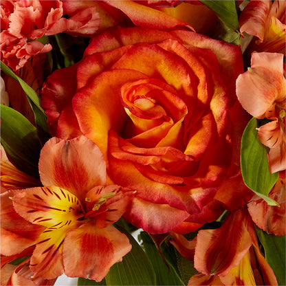 Apricot Glow Bouquet –  Mattoon Flower Shop Inc, Mattoon IL