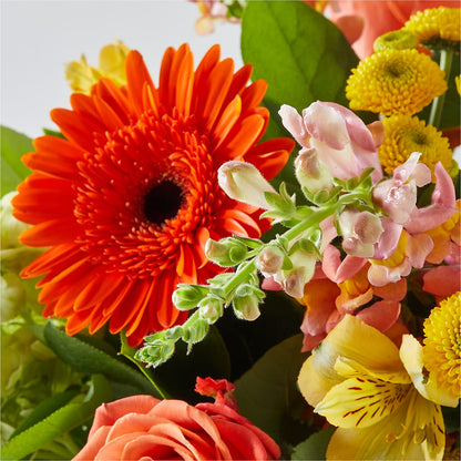 Autumn Sunshine Bouquet –  Mattoon Flower Shop Inc, Mattoon IL