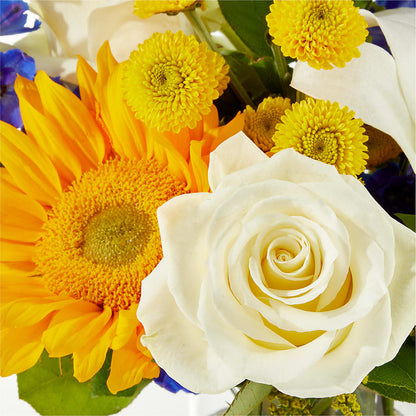 Stargazing Bouquet –  Mattoon Flower Shop Inc, Mattoon IL
