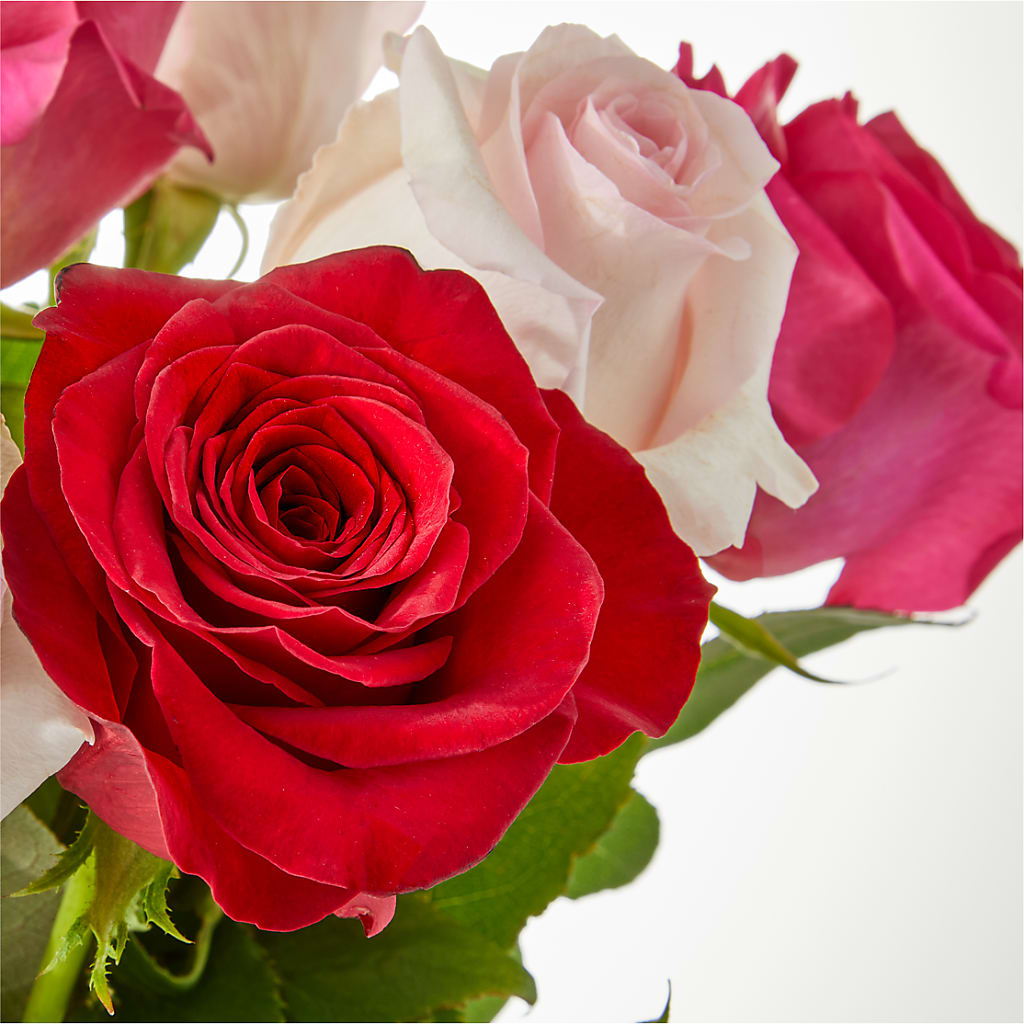 Charming Rose Bouquet –  Mattoon Flower Shop Inc, Mattoon IL