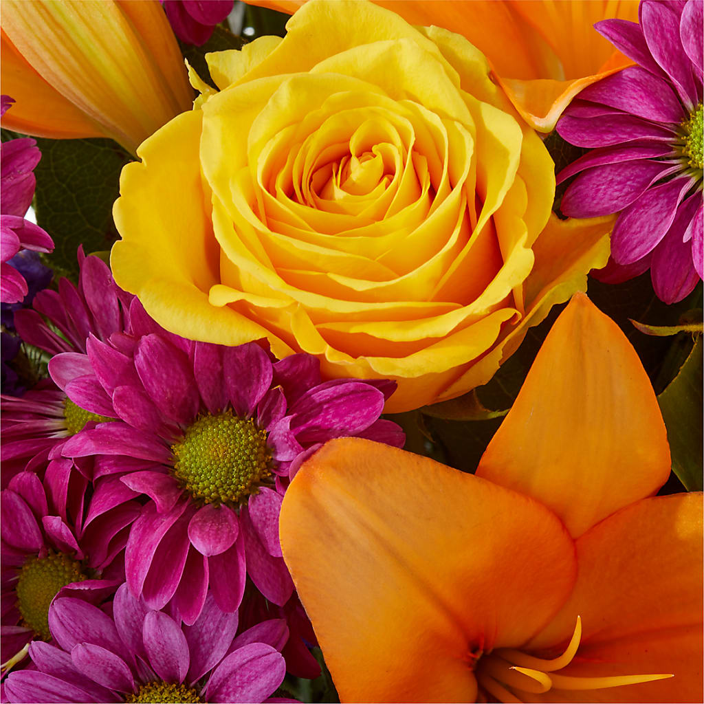 Colorful Visions Bouquet –  Mattoon Flower Shop Inc, Mattoon IL