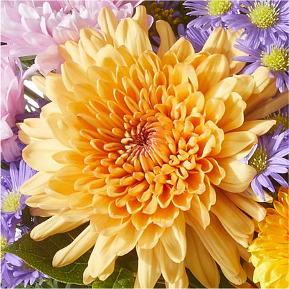 Countryside Bouquet –  Mattoon Flower Shop Inc, Mattoon IL