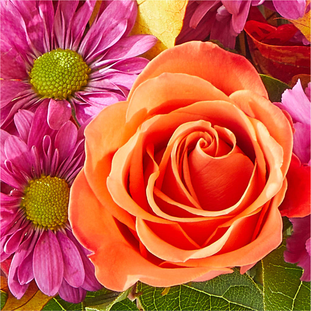 Mum's the Word Bouquet –  Mattoon Flower Shop Inc, Mattoon IL