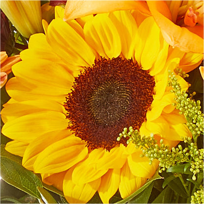 Seasons Change Bouquet –  Mattoon Flower Shop Inc, Mattoon IL