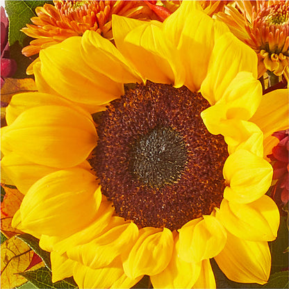 Sunny Side Bouquet –  Mattoon Flower Shop Inc, Mattoon IL