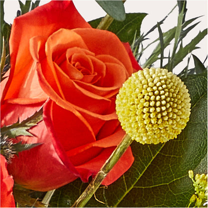 Disco Bouquet –  Mattoon Flower Shop Inc, Mattoon IL