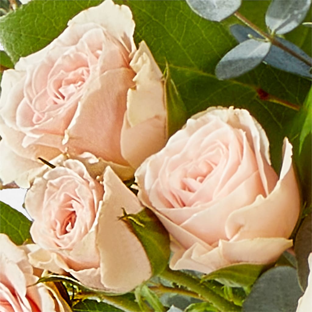 Inspired Bouquet –  Mattoon Flower Shop Inc, Mattoon IL