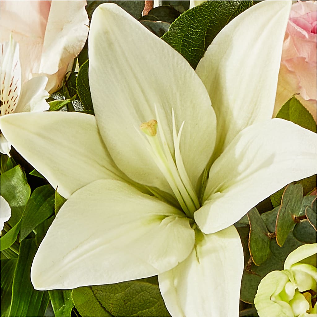 Ballet Slippers Bouquet –  Mattoon Flower Shop Inc, Mattoon IL
