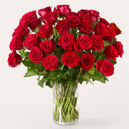 The One Red Rose Bouquet –  Mattoon Flower Shop Inc, Mattoon IL